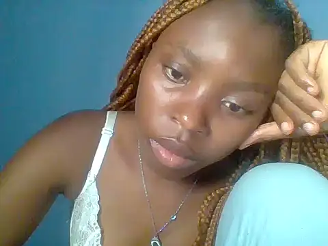 Chocolate-brownie webcam