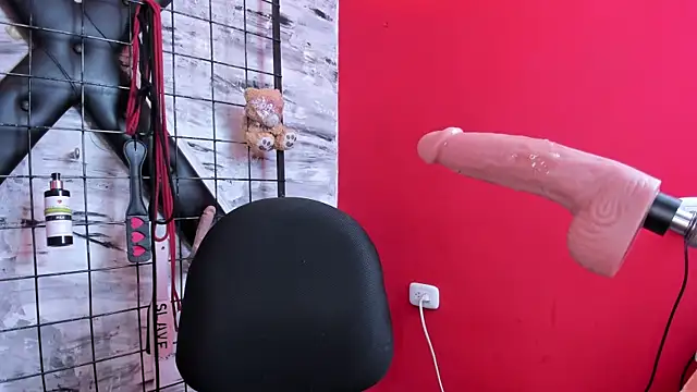 Venus_Bms_ webcam