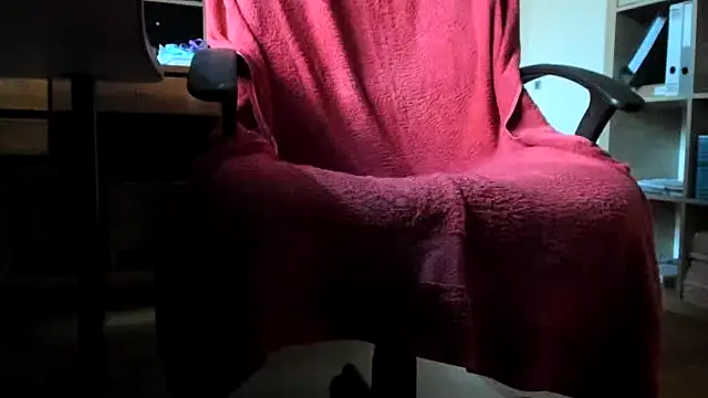leccaleccafiga webcam