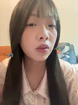 YY-1-1-1 webcam