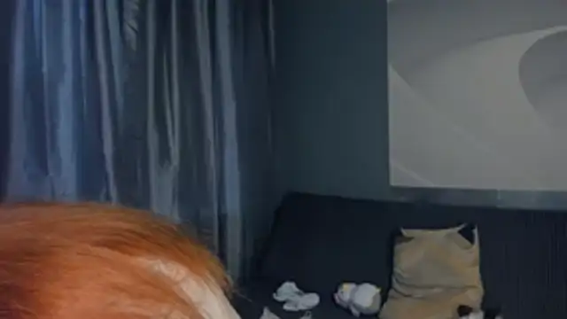TarynPalek webcam