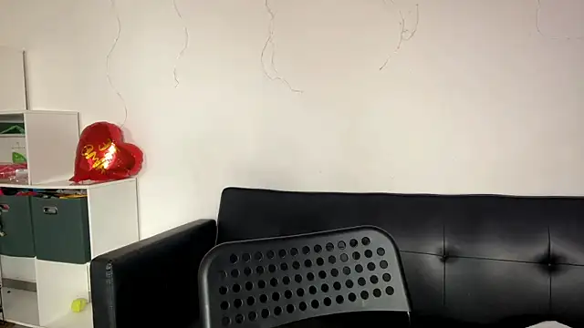 L_Sansa webcam