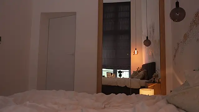 ibiddi webcam