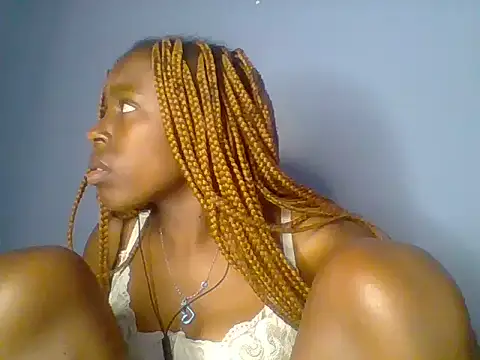Chocolate-brownie webcam