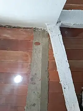 cataleya_ja (F young) - control de mi domi 5 minutos