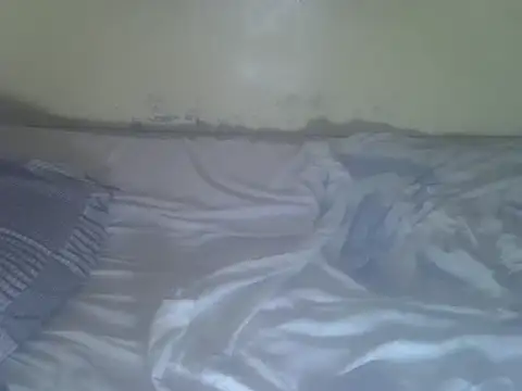 cute-shamza live cam on StripChat
