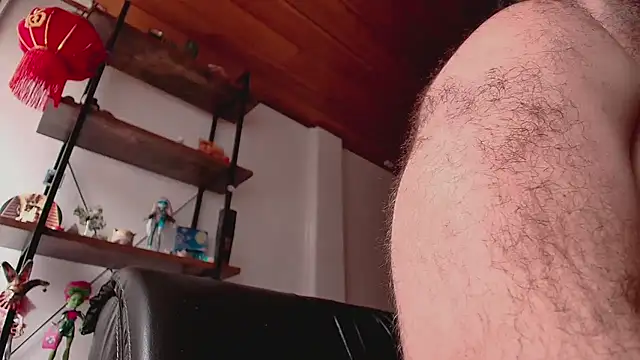 ADONIS_ART01 webcam