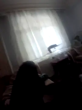 Metyos4243 webcam