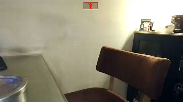 Hgay6935 webcam