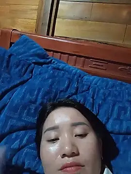 Td3di