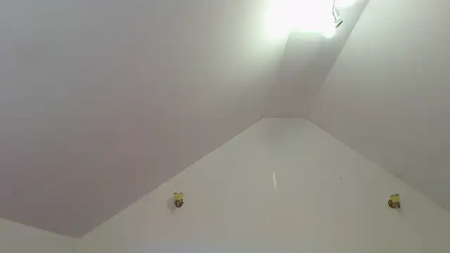 Lenadream30 webcam