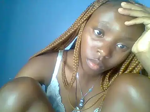 Chocolate-brownie webcam