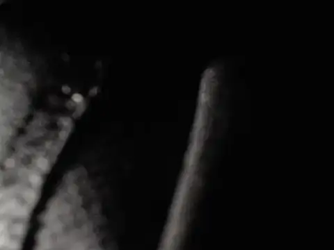 imagatmark (Ask my age) - SHOW PENIS
