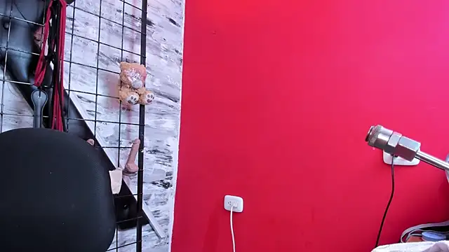 Venus_Bms_ webcam