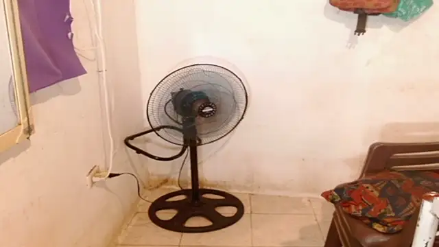 AngelicaDollTs webcam