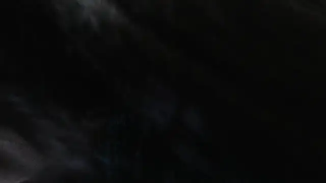 BustyNina41 webcam