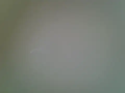 Calmfolower webcam