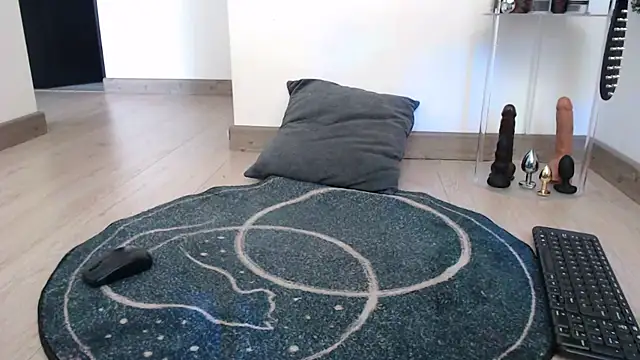 Fleurmeyer79 webcam