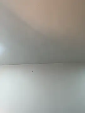 BrendaCrean webcam