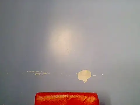 Chocolate-brownie webcam