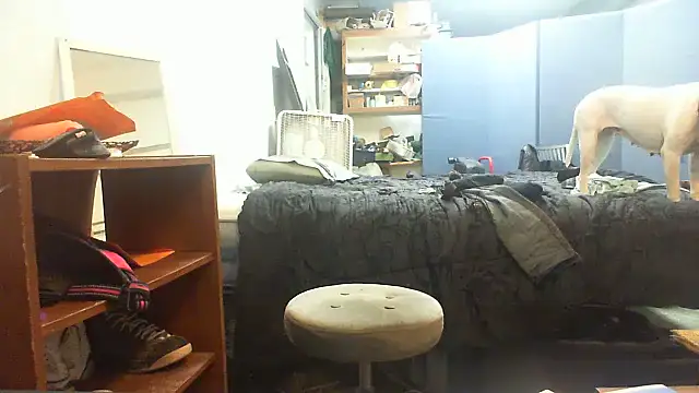 SlickDickyadown live cam on StripChat
