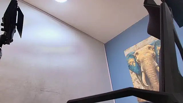 ADAM_CUMS webcam