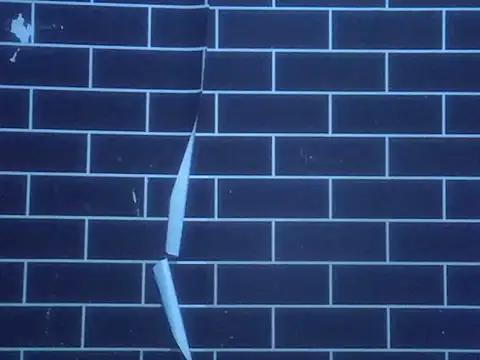 prettydivabloom webcam