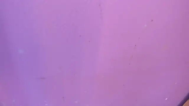 camila_scoth (F young) - #ahegao #anal #anal-doggy-style #anal-fingering #anal-latin #anal-masturbation #anal-toys #anal-young #best #best-young #big-ass #big-ass-anal #big-ass-doggy-style #big-ass-latin #big-ass-young #black-hair #black-hair-young #blowjob #blowjob-ahegao #cam2cam #camel-toe #cheapest-privates #cheapest-privates-best #cheapest-privates-latin #cheapest-privates-young #colombian #colombian-young #deepthroat #deepthroat-blowjob #dildo-or-vibrator #dildo-or-vibrator-anal #dildo-or-vibrator-deepthroat #dildo-or-vibrator-young #doggy-style #erotic-dance #fingering #fingering-latin #fingering-young #footjob #hd #interactive-toys #interactive-toys-young #latin #latin-blowjob #latin-deepthroat #latin-doggy-style #latin-masturbation #latin-young #lovense #massage #masturbation #medium #medium-hair #recordable-privates #recordable-privates-young #sex-toys #shaven #small-tits #small-tits-latin #small-tits-young #spanish-speaking #spanking #squirt #squirt-latin #squirt-young #striptease #striptease-latin #striptease-young #titty-fuck #trimmed #trimmed-latin #trimmed-young #yoga #yoga-young #young