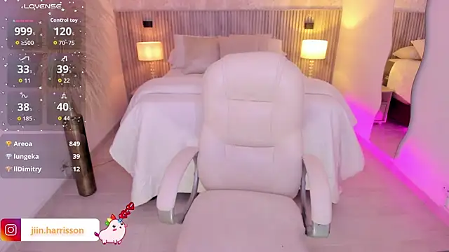Jin-harrison webcam
