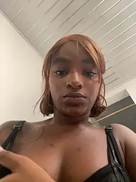 _ZIA webcam