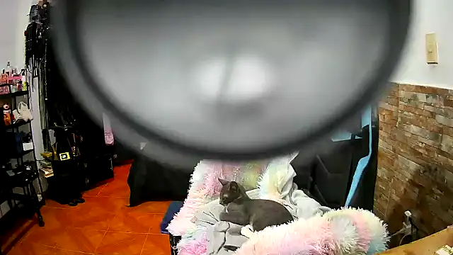 AngelaQueen_ webcam
