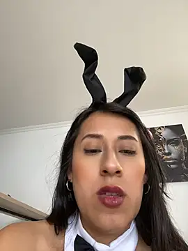 Lia-1212 webcam