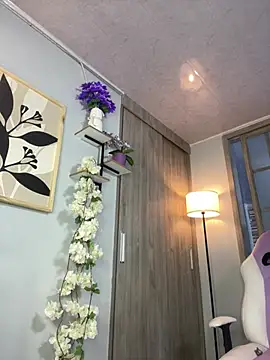 Vanesa_novvoa live cam on StripChat