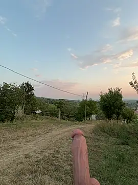 Alimela webcam
