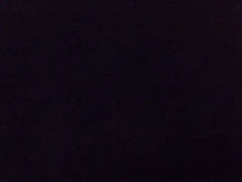 kaya_bear webcam