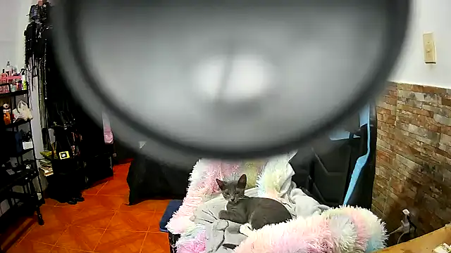 AngelaQueen_ webcam