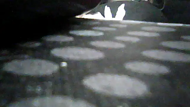 SirFrankonde webcam