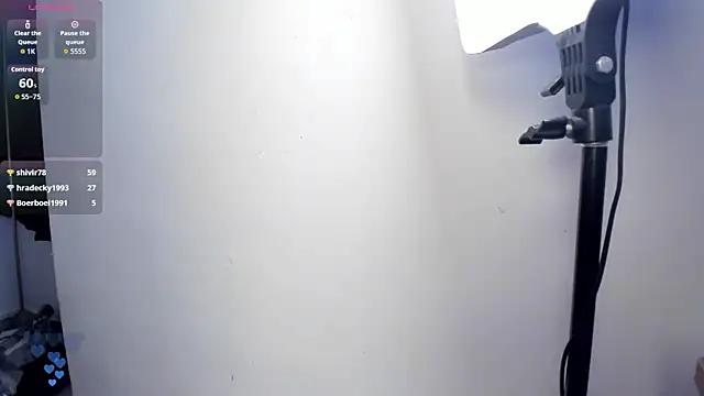 LittleParker webcam