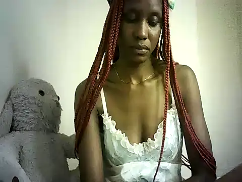 DelteAfriq webcam