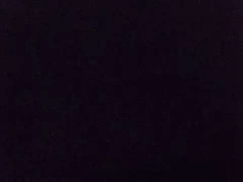 kaya_bear