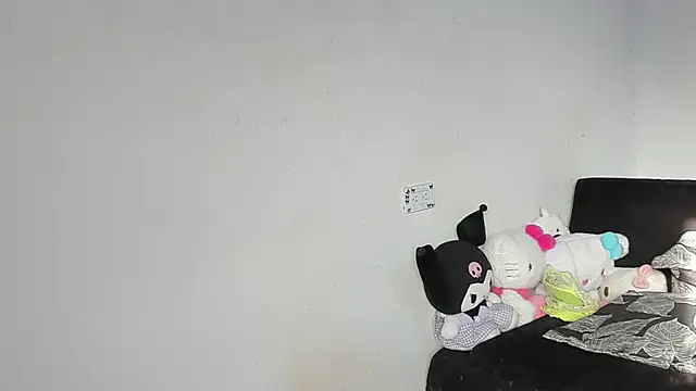 Eirlysx webcam