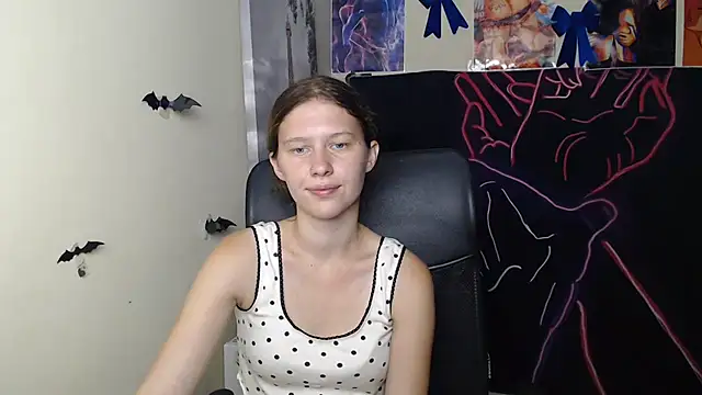 StellaCRL webcam