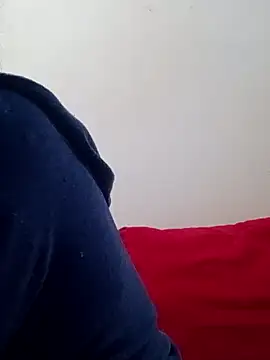 molymeneses webcam