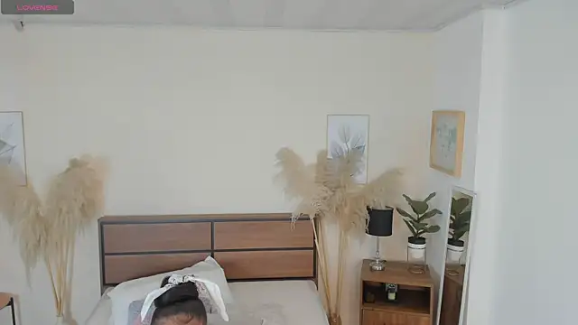 Michelbrooks webcam