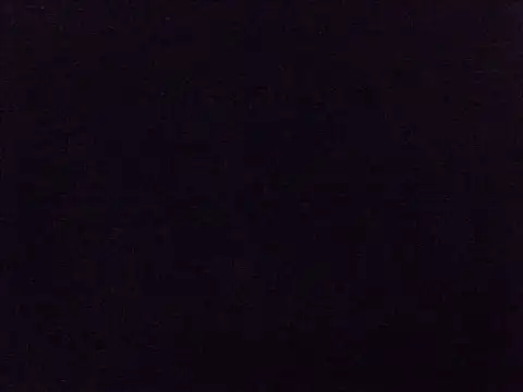 kaya_bear