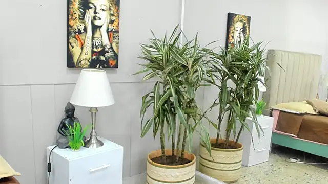 kai_storn