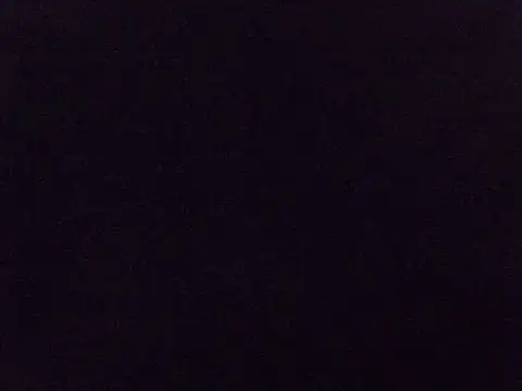 kaya_bear