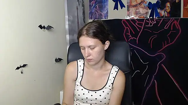 StellaCRL webcam
