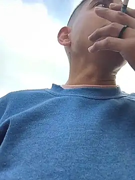 Tiger_cryad webcam