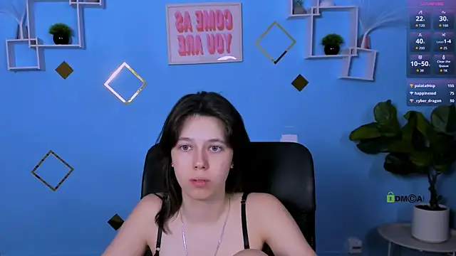 aria_wild_ webcam